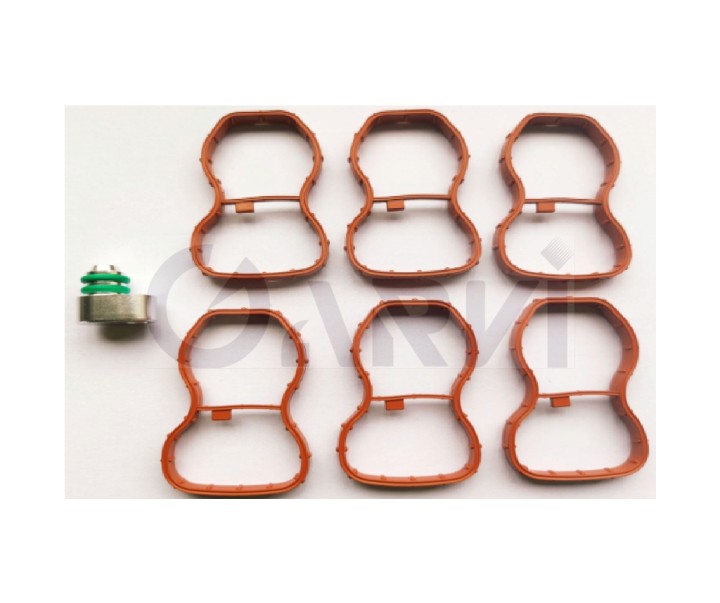 GV9006-SWIRL FLAP KIT